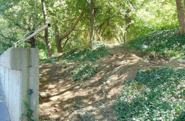 Откриха човешки кости в Цар Симеоновата градина в Пловдив