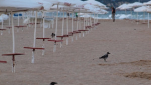 Самозванци глобяват туристи за уриниране на плажа