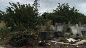Купчини боклук са пръснати из алеите на гробищата алармира добричлия