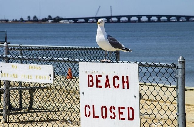 Затвориха най-известния плаж на Хаваите заради фекални води