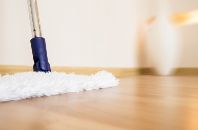 В домашната прах има хиляди микроби