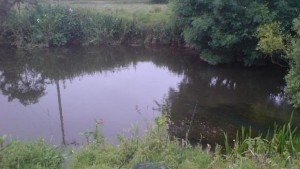 Пазете си маратонките заключвайте колите и се оглеждайте по време