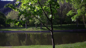 Облагородяват паркови зони