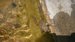 Прогноза за времето за 29 август събота