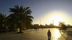 WiFi палми се появиха в Дубай