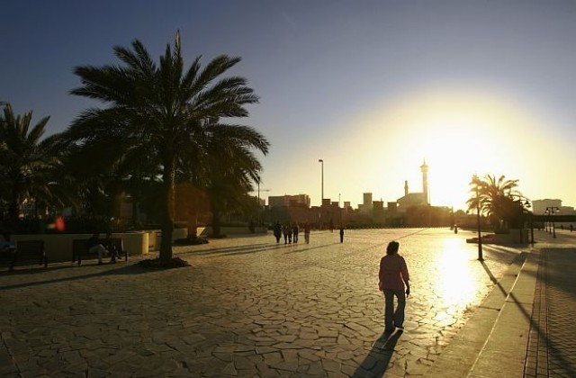 Wi-Fi палми се появиха в Дубай