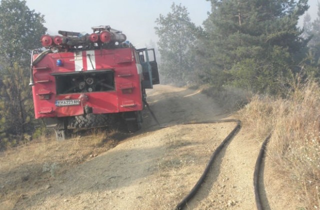 Огън унищожи 300 дка гори и сухи треви край Фролош