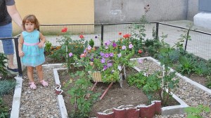 Вход в Орел заразява с красота