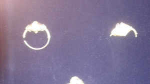 Варненски бизнесмен се натъкна на съкровище докато ловувал глигани