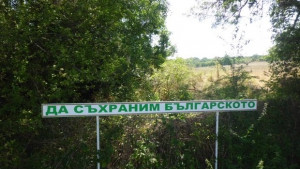 Белите послания на Белянката