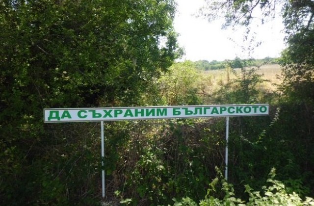 Белите послания на „Белянката”