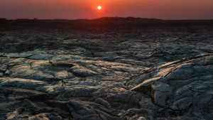 Шестима души симулират експедиция на Марс живеят година в изолация