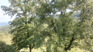 Очаква ни горещ ден