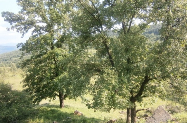 Очаква ни горещ ден