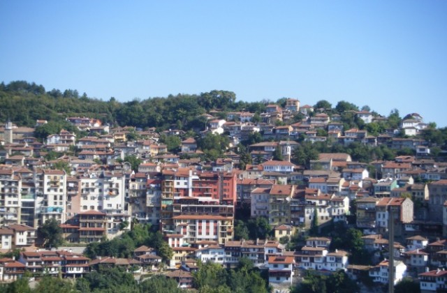 Започва третирането с препарати срещу гризачи във В. Търново