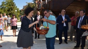 Около 5 млн тона достига реколтата от пшеница