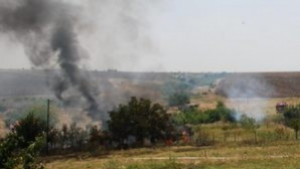 110 декара орехови насаждения изгоряха край Симеоновград