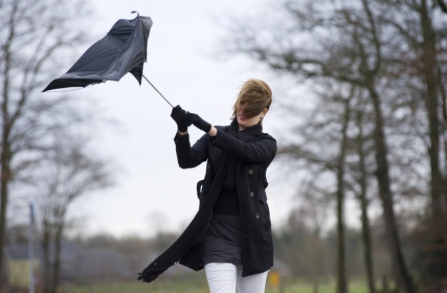 Жълт код за бурен вятър в Северна България