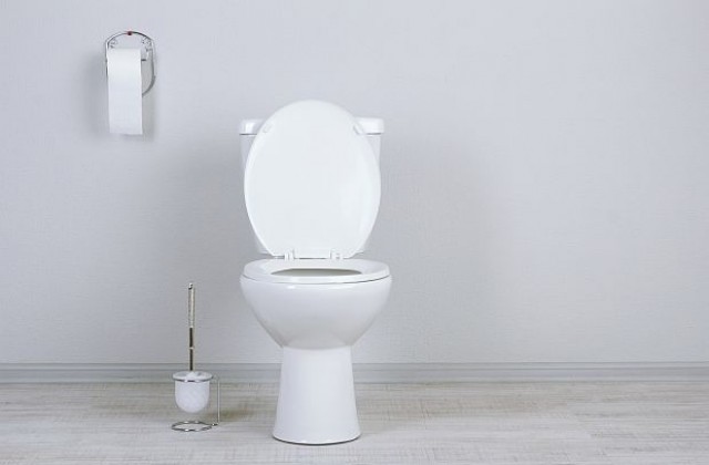 Япония дава награда за образцови тоалетни