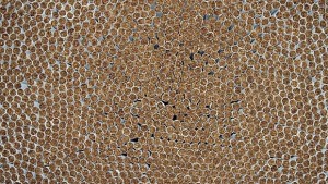 Производството на тютюневи изделия с годишен спад над 18 през