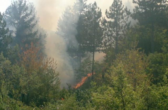 Нови 8 пожара в Кюстендилска област