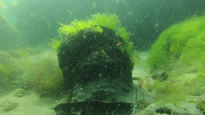 Откриха опасен детонатор за морска мина