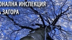 Намалиха мощностите на централите от комплекс Марица Изток заради обгазяване