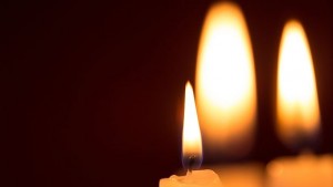 Найстарата котка в света почина на 138 човешки години