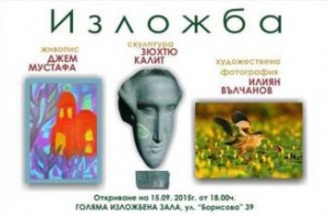 Трима творци редят изложба в художествената галерия