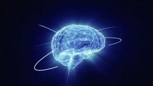 Откриха как се контролира мозъкът