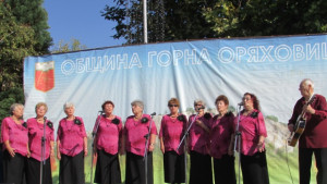 Над 250 участници се включват в преглед на старата градска