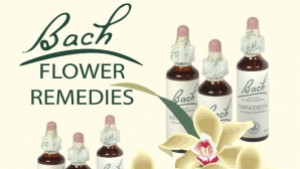 Цветотерапията на др Бах е тема на клуб Здраве