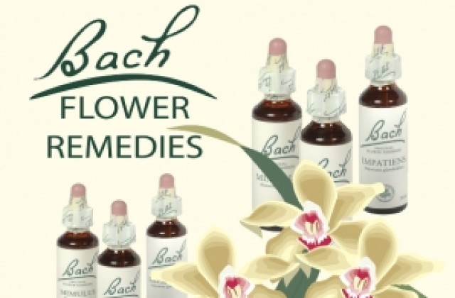 Цветотерапията на д-р Бах е тема на клуб Здраве
