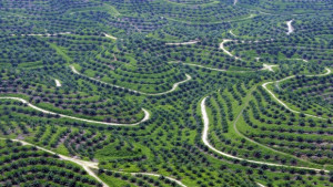 Как земеделието замърсява въздуха