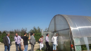 Българорумънската земеделска група разгледа агрокомплекс и млекарница в община Улм