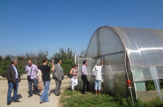 Българо-румънската земеделска група разгледа агрокомплекс и млекарница в община Улм