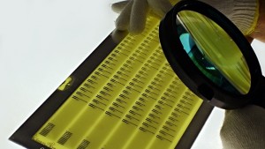 Британски генетици искат разрешение за опити с ДНК на зародиши