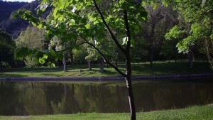 Състезание с велосипеди и лека атлетика в Благоевград