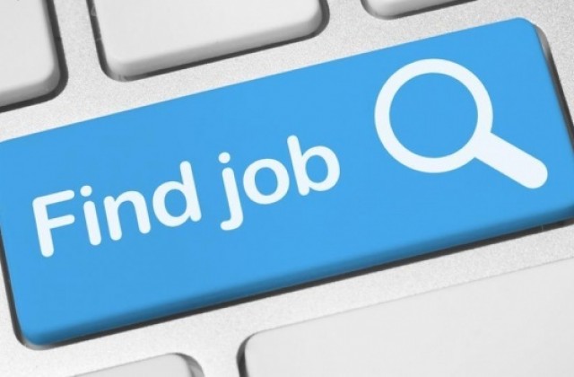 Над 230 свободни работни места повече са заявени в областта за месец