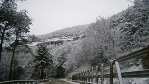 Плашат ни с първи сняг още след седмица но само