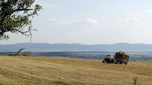 Близо 800 души от региона наети за един ден за
