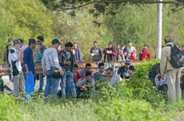 48 имигранти в камион задържаха в Перник