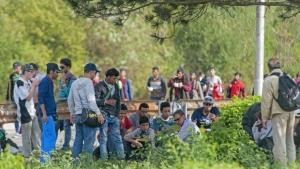 Отец Силвестър Хората които идват тук не са бежанци