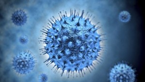 Вирусите са найстарите живи организми на Земята твърдят учени