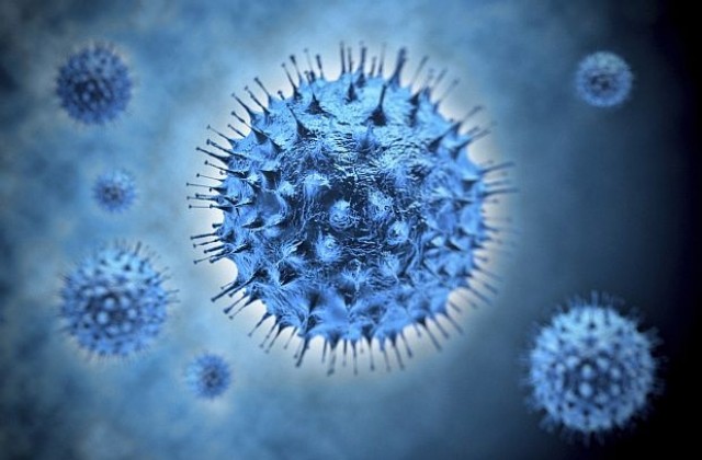 Вирусите са най-старите живи организми на Земята, твърдят учени