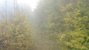 Обилни дъждове се очакват в следващите дни