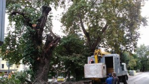 Снимки Изрязаха бреста на Аджундар защото е опасен Ще запазват