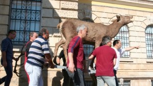 Над 35 хил посетители на Екомузея за година