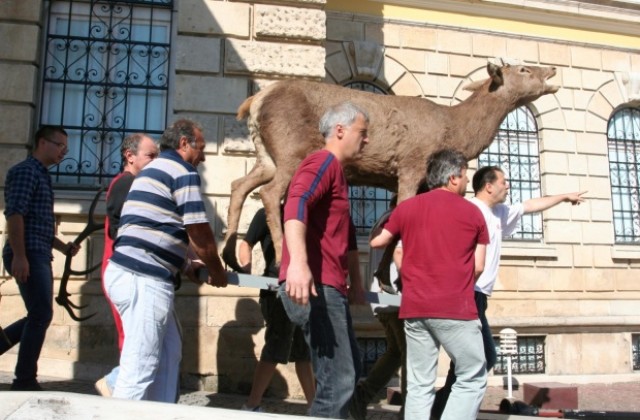 Над 35 хил. посетители на Екомузея за година