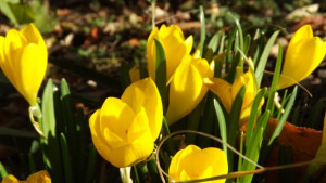 Температурите през октомври от минус 1 до 25 градуса